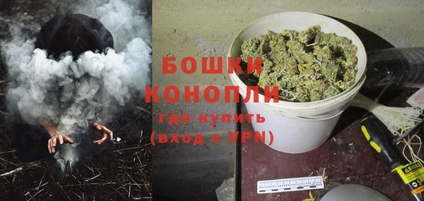 ПСИЛОЦИБИНОВЫЕ ГРИБЫ Заводоуковск