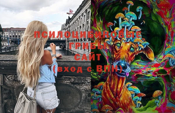 ПСИЛОЦИБИНОВЫЕ ГРИБЫ Заводоуковск