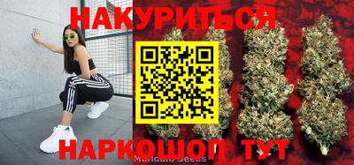 гидропоника Можайск