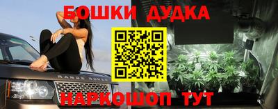 мет Моздок