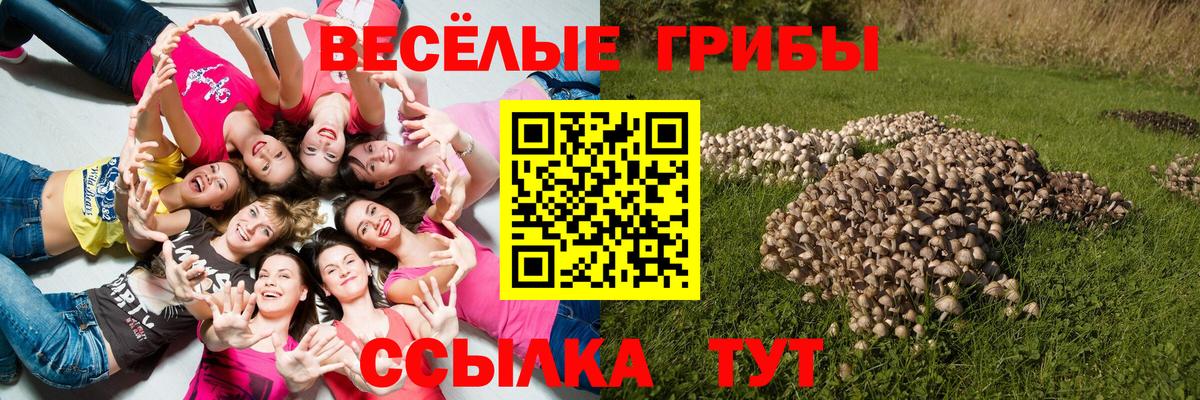 Псилоцибиновые грибы ЛСД Ивантеевка