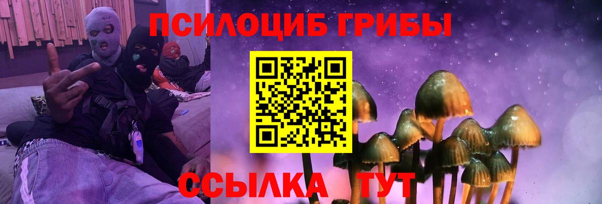 Галлюциногенные грибы MAGIC MUSHROOMS  Галлюциногенные грибы Psilocybine cubensis  Вход с VPN  Ивантеевка 